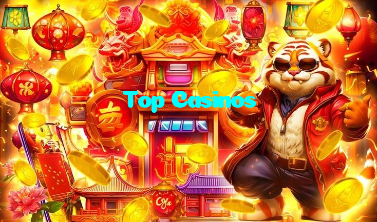available types of Top Casinos bet including pre-match live express and system bets